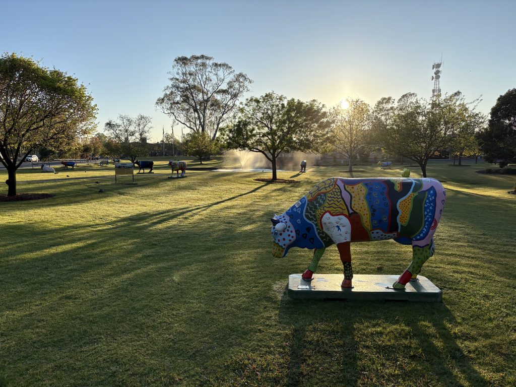 Open Dialogue Centre -Shepparton