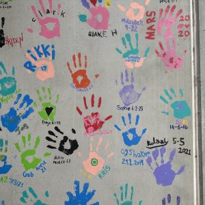 Hands